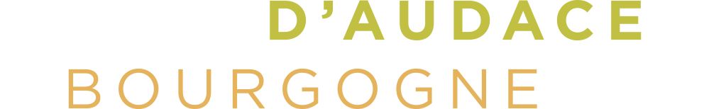 Terroirs d'audace en Bourgogne du Sud