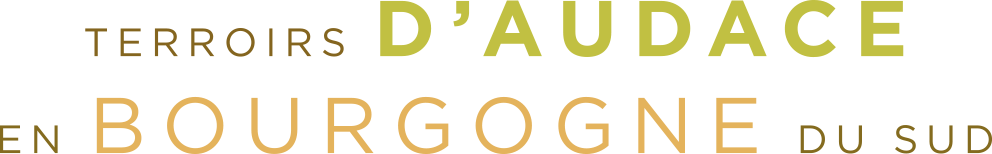 Terroirs d'audace en Bourgogne du Sud